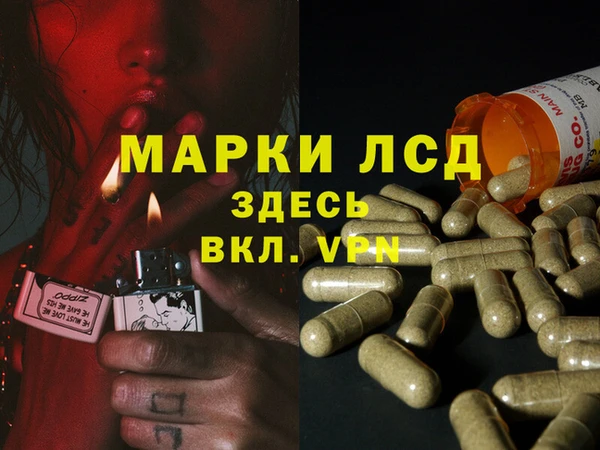 сатива Переславль-Залесский