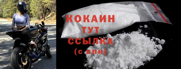 стаф Белокуриха