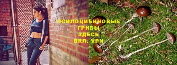 ECSTASY Богородск